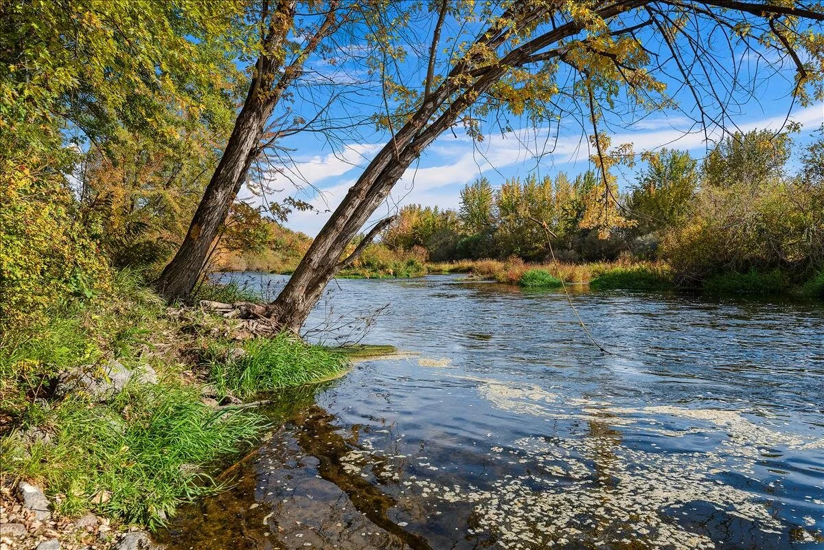 middleton idaho
